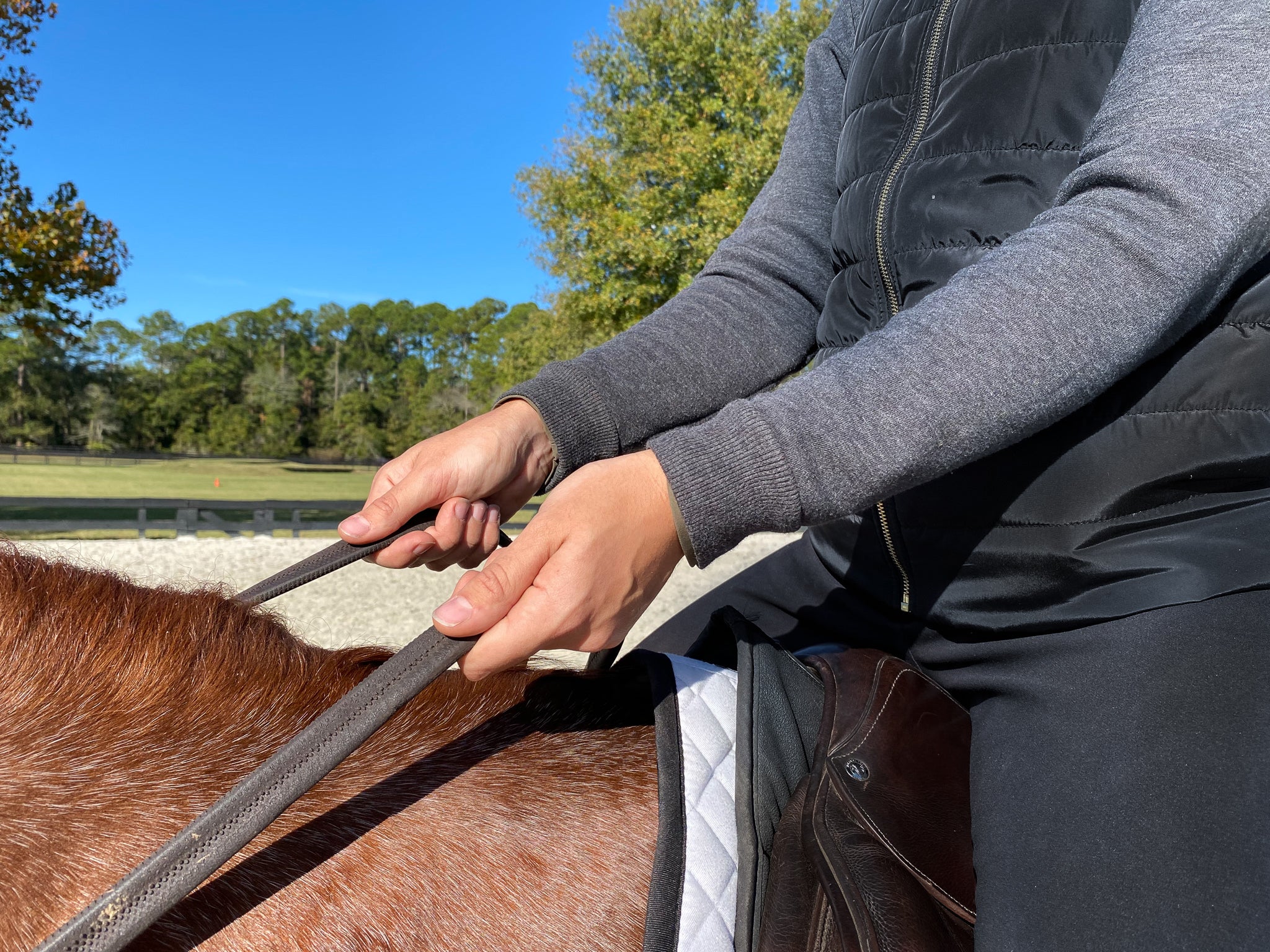 How To Hold Reins English Style